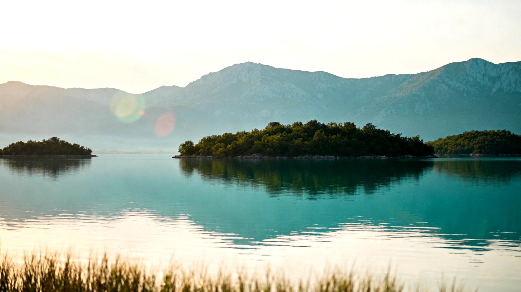 Skutarisee (Skadarsko Jezero)"
